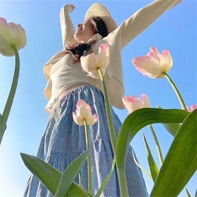 政坛新星海报